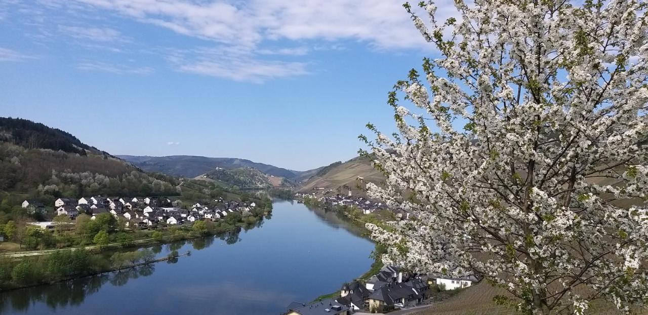 Mosel-Appartements Nehren Целль-ан-дер-Мозель Экстерьер фото